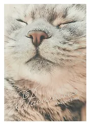 Ежедневник недатированный А5 128 листов, "Расслабься", ламинация Soft Touch