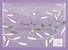 Папка-конверт А4 на кнопке "Happy every day", ассорти - 1