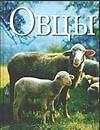 Овцы. Ридер Хуго (АСТ)