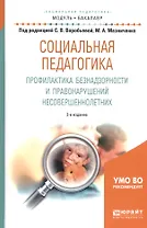 Социальная педагогика. Профилактика безнадзорности и правонарушений несовершеннолетних. Учебное пособие для академического бакалавриата