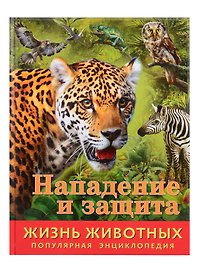 Нападение и защита