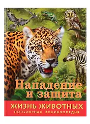 Нападение и защита