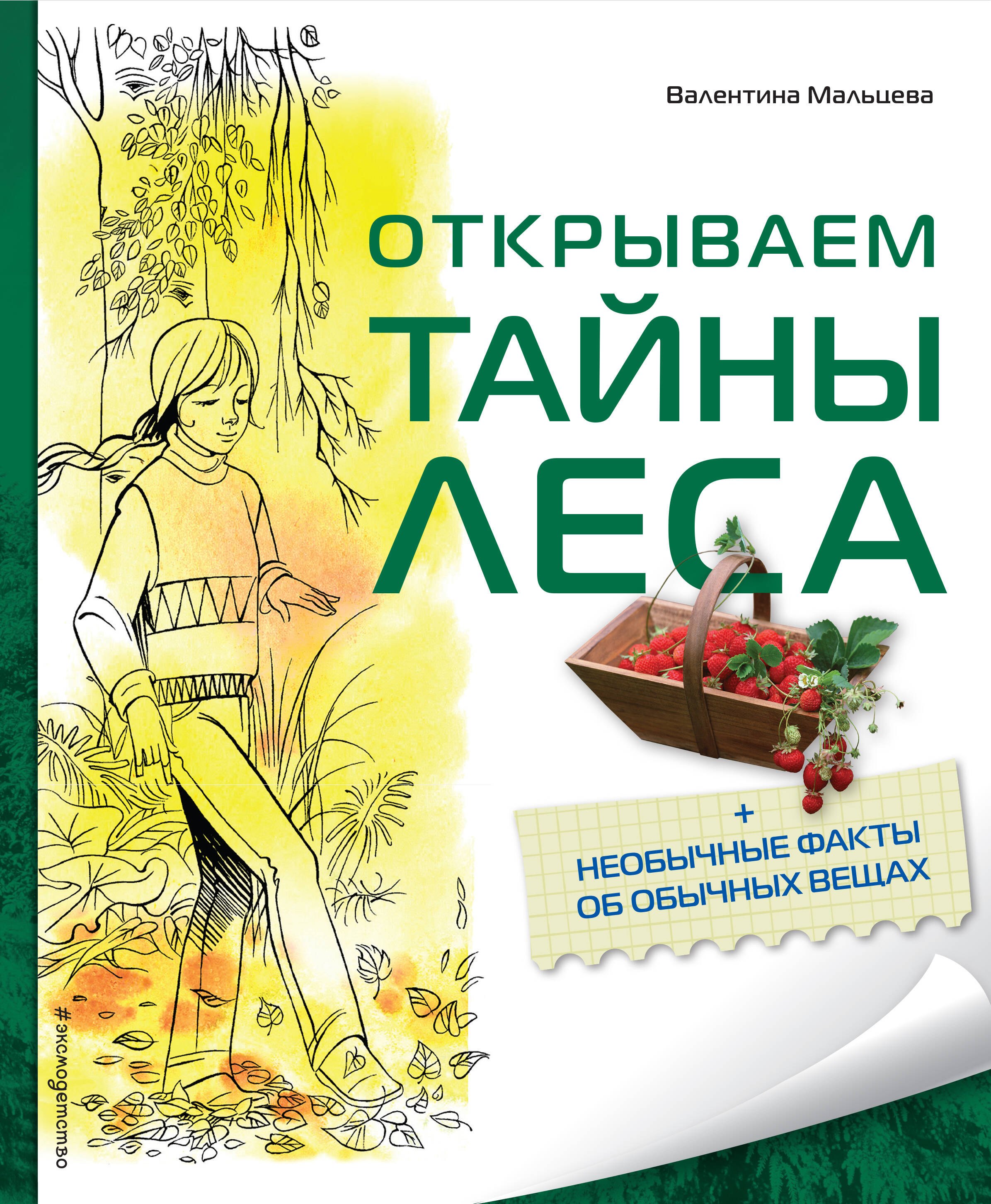 

Открываем тайны леса