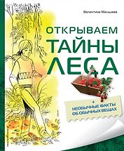 Открываем тайны леса
