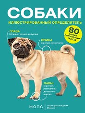 Собаки. 80 самых популярных пород. Иллюстрированный определитель