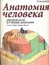 Анатомия человека: Цветной атлас и учебник анатомии