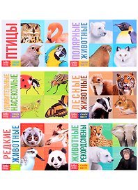 Обучающие книги набор «Удивительный мир» (комплект из 6-ти книг)