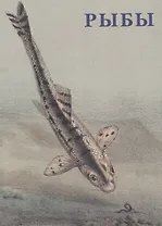 Рыбы. Набор открыток