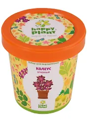 Набор для выращивания Горшок Колеус огненный (hpn-1)