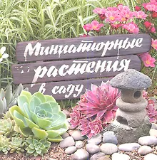 Миниатюрные растения в саду