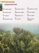 Подводный мир. Детская энциклопедия - 1
