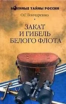 Закат и гибель Белого флота. 1918 - 1924 годы