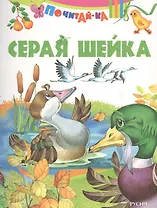 Серая Шейка