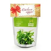 Набор для выращивания Рукола рокет (hp-17) (упаковка)