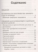Плодородный сад на балконе. - 1