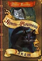 Закат (Коты-Воители)