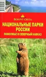 Дайвинг.Красное море: Путеводитель