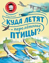 Куда летят перелётные птицы?