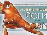 Ключевые мышцы йоги