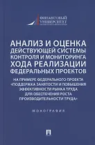 Анализ и оценка действующей системы контроля и мониторинга хода реализации федеральных проектов (на примере федерального проекта «Поддержка занятоcти и повышения эффективности рынка труда для обеспечения роста производительности труда»). Монография