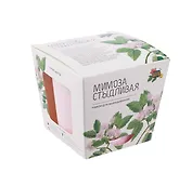 Набор д/выращивания растений Магия Цветов, Мимоза стыдливая (mf-012)