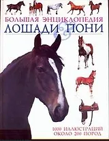 Лошади & пони