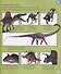 My Encyclopedia of Very Important Dinosaurs: For Little Dinosaur Lovers Who Want to Know Everything - 2
