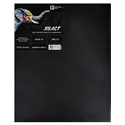 Холст грунтованный на подрамнике 40x50 см, чёрный, 100% хлопок, среднее зерно, Феникс+