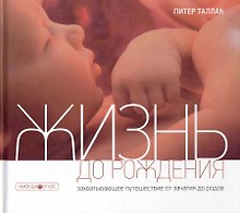 Жизнь до рождения