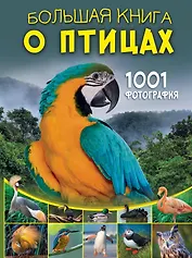 Большая книга о птицах. 1001 фотография
