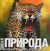 Альбом. "Дикая природа": Самые лучшие фотографии