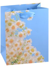 Пакет А5 23*18*10 "Spring blossom" жен., бум.мат.ламинат 