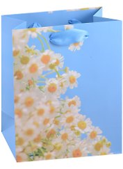 Пакет А5 23*18*10 "Spring blossom" жен., бум.мат.ламинат 