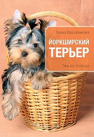 Йоркширский терьер