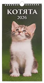 Календарь 2026г 165*335 "Котята" настенный, на спирали