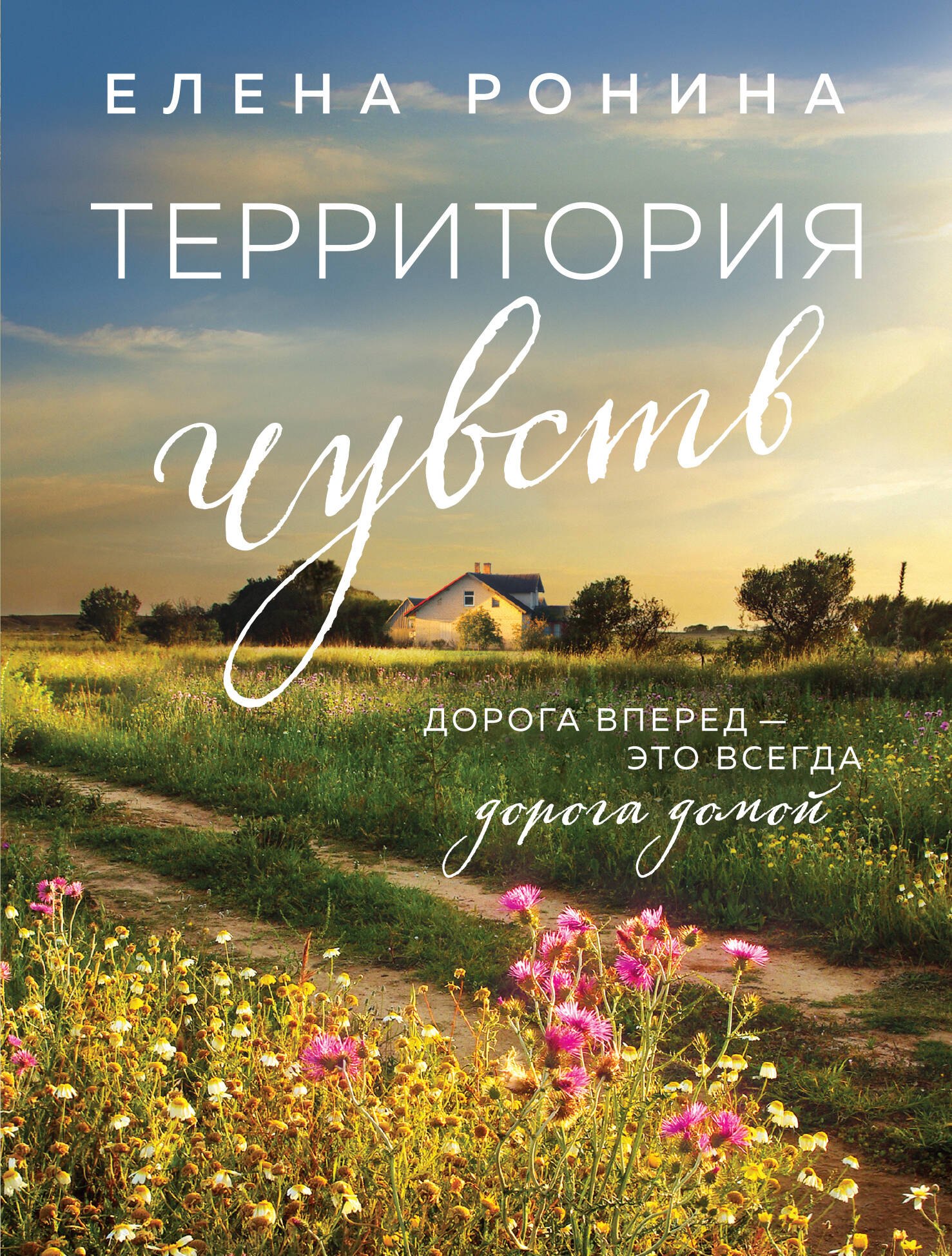 

Территория чувств