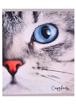 Тетрадь в клетку Listoff, Cat Eye, 48 листов, в ассортименте