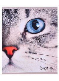 Тетрадь общая «Cat eye», 48 листов в клетку, A5, в ассортименте - Listoff