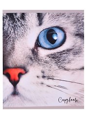 Тетрадь в клетку Listoff, Cat Eye, 48 листов, в ассортименте