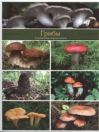 Грибы: справочник-определитель