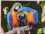 Алмазная мозаика ТМ Рыжий кот (класс.) 40х50см (30цв.) Попугаи в джунглях AC4073