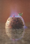 Ларусс.т.11.Гастрономическая энциклопедия - 2