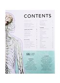The Brain Book - 1