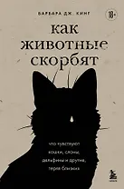 Как животные скорбят. Что чувствуют кошки, слоны, дельфины и другие, теряя близких