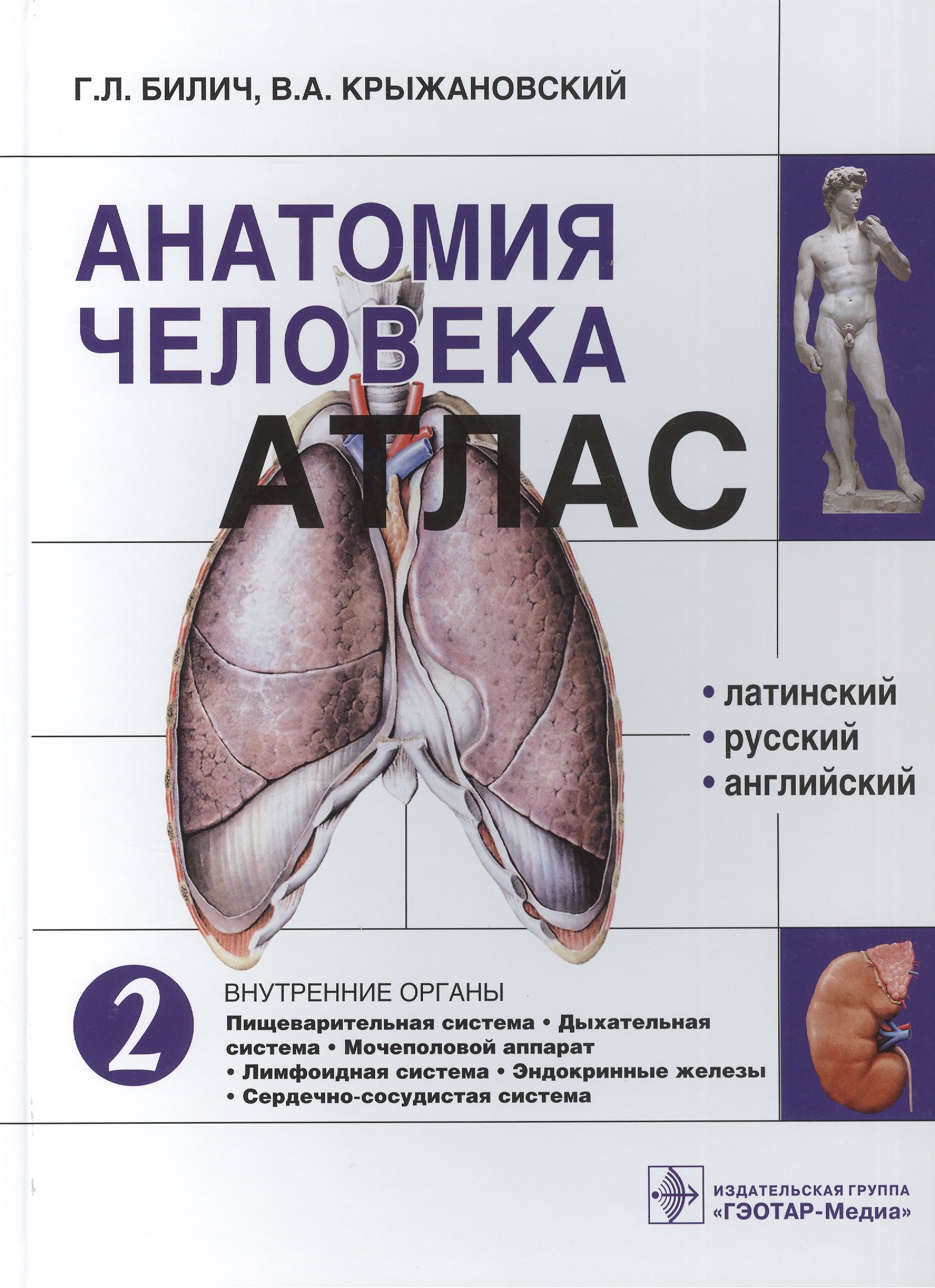 

Анатомия человека. Атлас: учебное пособие. В 3 томах. Том 2. Внутренние органы.