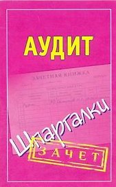 Шпаргалки.Аудит