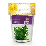 Набор для выращивания Душица ориганум (hp-14) (упаковка)