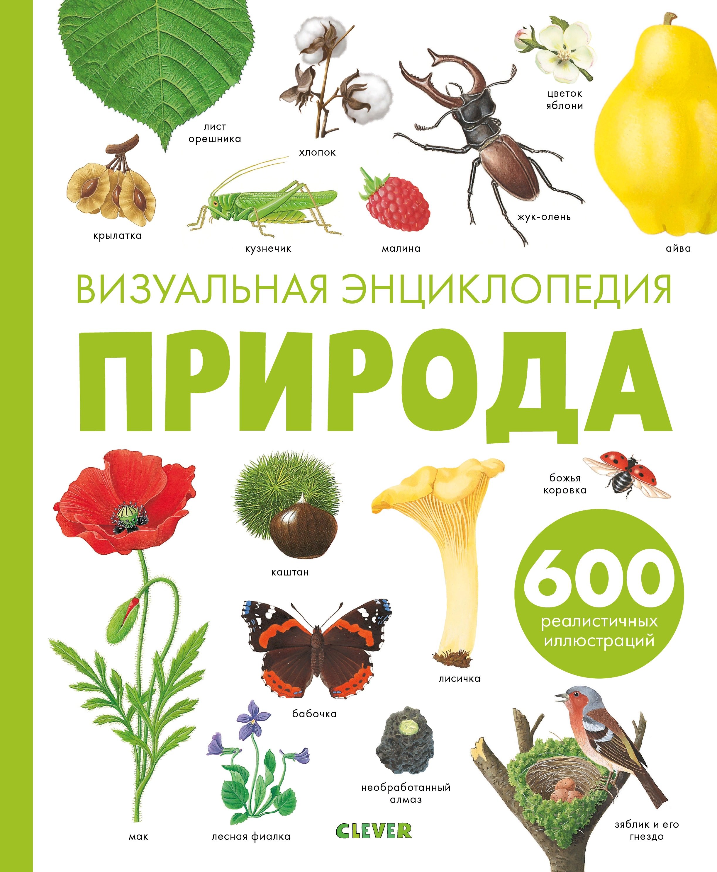 

Природа. Визуальная энциклопедия