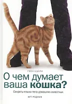 О чем думает ваша кошка? Секреты языка тела домашних животных