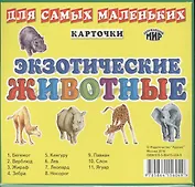 Экзотические животные (Набор из 11 карточек)